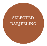 Selected Darjeeling
